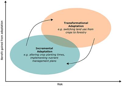 Can remote sensing enable a Biomass Climate Adaptation Index for agricultural systems?